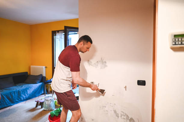 Best Local Mold Removal Service  in Plainview, TX