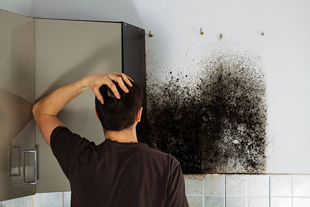 Best Crawl Space Mold Removal  in Plainview, TX